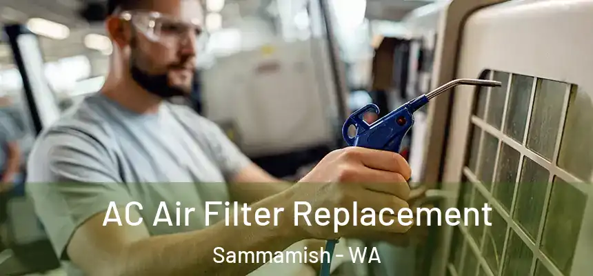 AC Air Filter Replacement Sammamish - WA