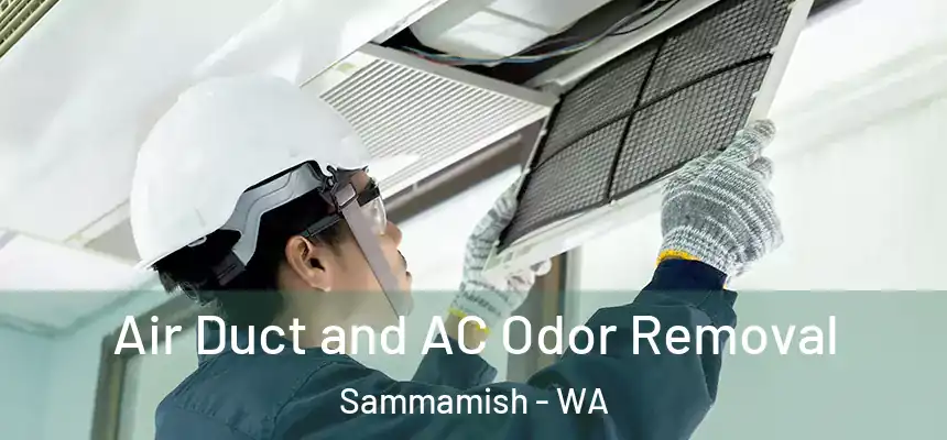 Air Duct and AC Odor Removal Sammamish - WA
