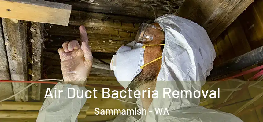 Air Duct Bacteria Removal Sammamish - WA