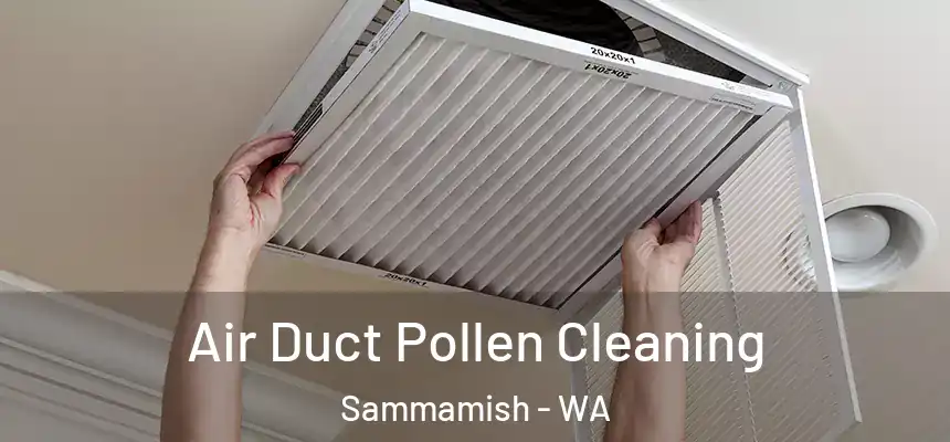 Air Duct Pollen Cleaning Sammamish - WA