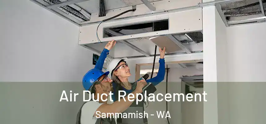  Air Duct Replacement Sammamish - WA