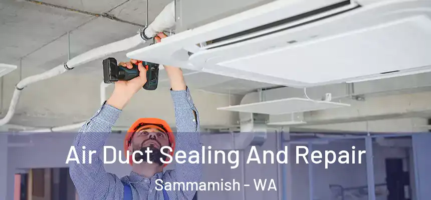  Air Duct Sealing And Repair Sammamish - WA
