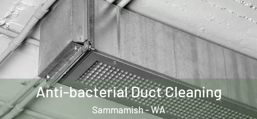Anti-bacterial Duct Cleaning Sammamish - WA