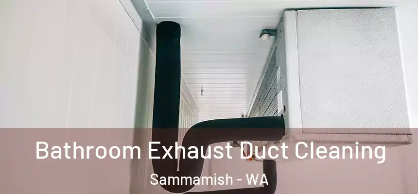 Bathroom Exhaust Duct Cleaning Sammamish - WA