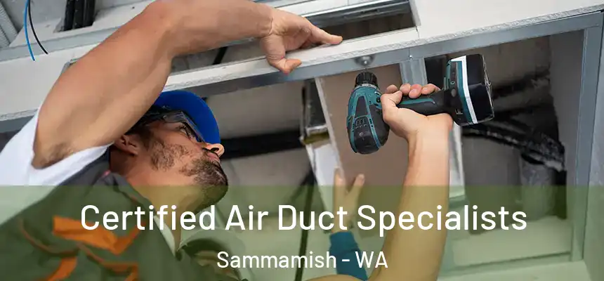 Certified Air Duct Specialists Sammamish - WA