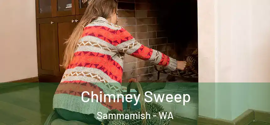 Chimney Sweep Sammamish - WA