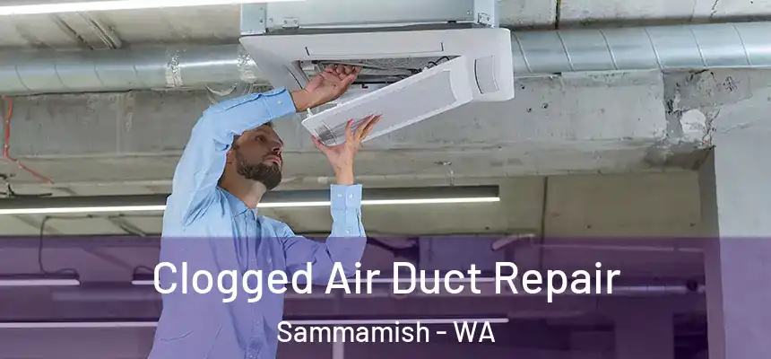 Clogged Air Duct Repair Sammamish - WA