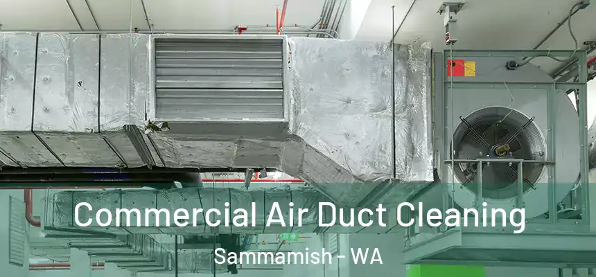  Commercial Air Duct Cleaning Sammamish - WA