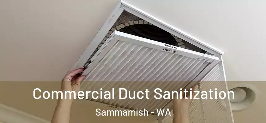 Commercial Duct Sanitization Sammamish - WA