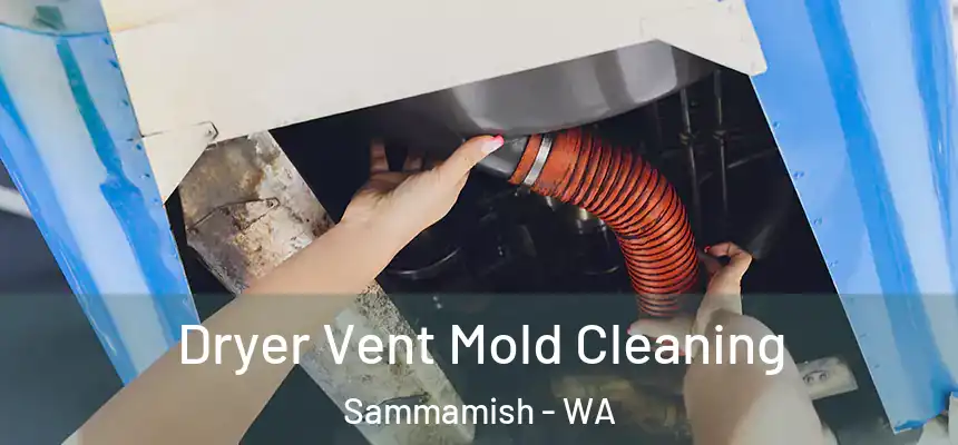 Dryer Vent Mold Cleaning Sammamish - WA