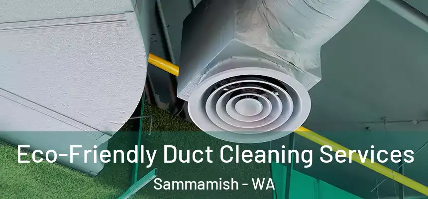 Eco-Friendly Duct Cleaning Services Sammamish - WA