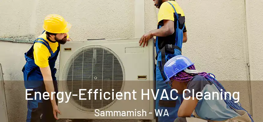 Energy-Efficient HVAC Cleaning Sammamish - WA