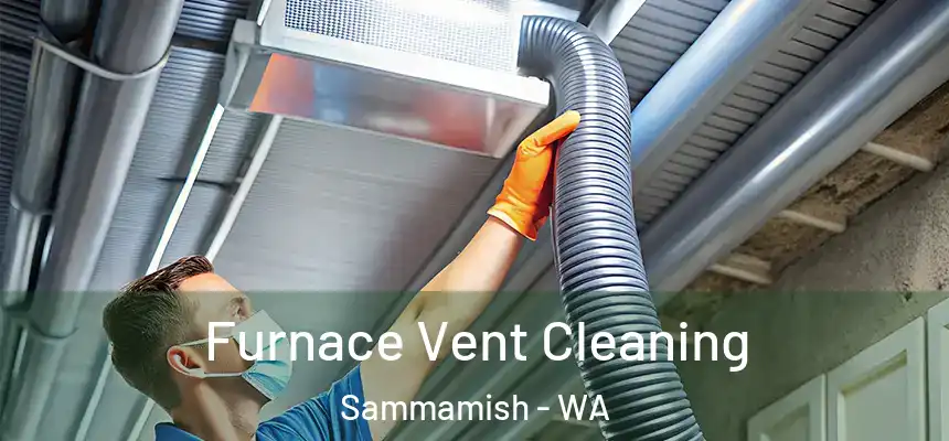 Furnace Vent Cleaning Sammamish - WA