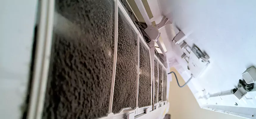 Preventive Air Duct Bacteria Removal in Sammamish