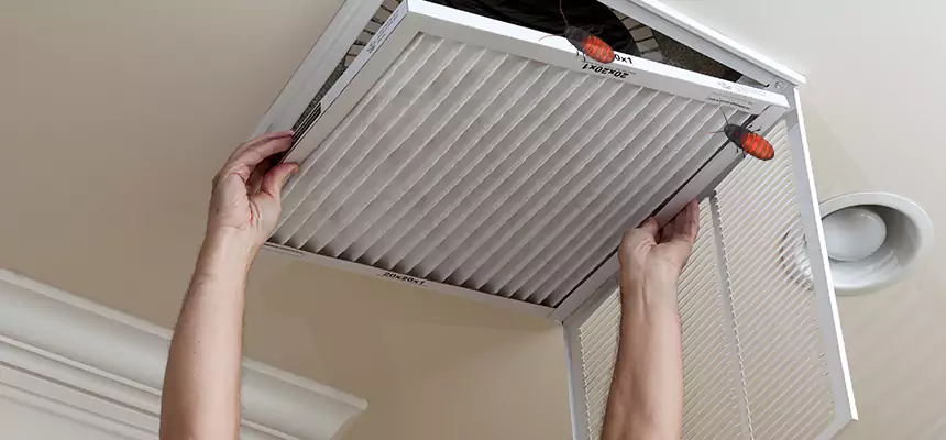 Preventive Cockroach-Proofing for Ducts in Sammamish