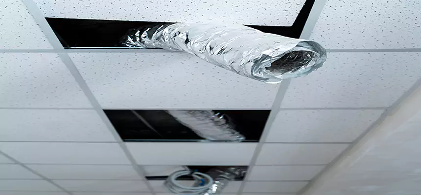 Our Air Duct Pet Hair Removal Services in Sammamish, WA