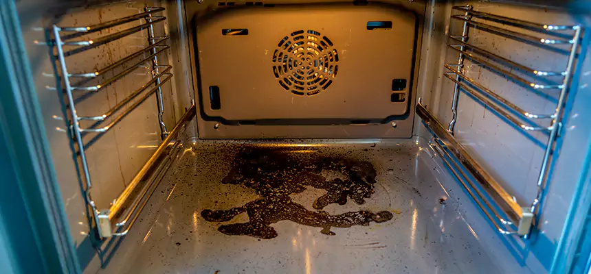 Our Dryer Vent Mold Cleaning Services in Sammamish, WA