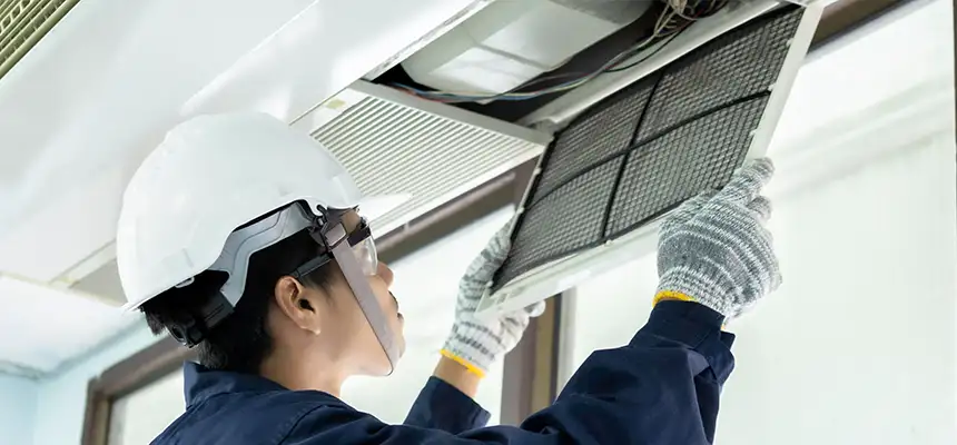 Our Lint Trap Cleaning Service Services in Sammamish, WA