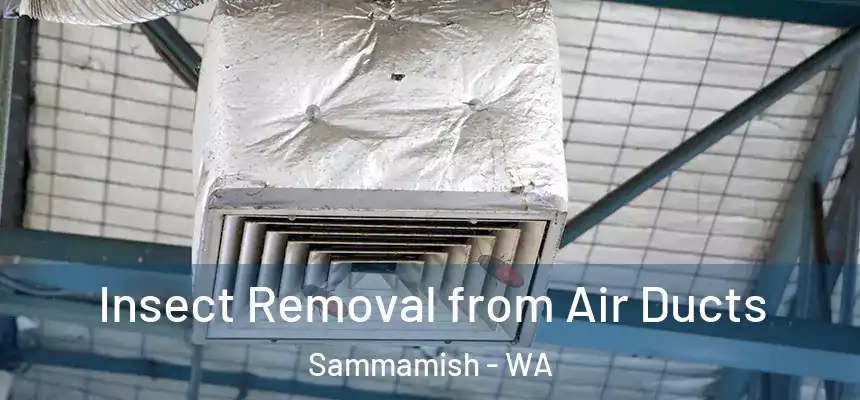 Insect Removal from Air Ducts Sammamish - WA