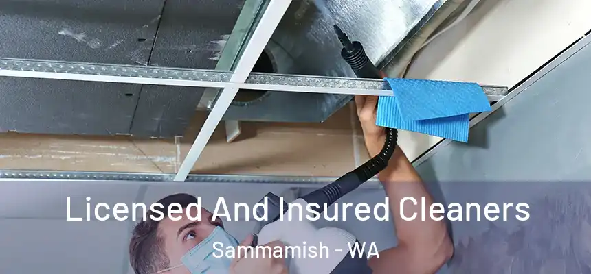 Licensed And Insured Cleaners Sammamish - WA