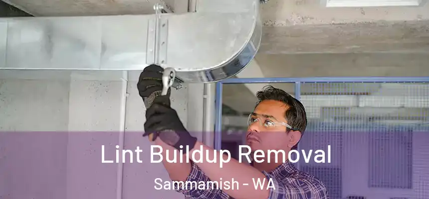 Lint Buildup Removal Sammamish - WA