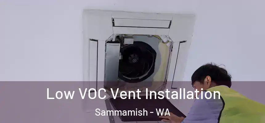  Low VOC Vent Installation Sammamish - WA