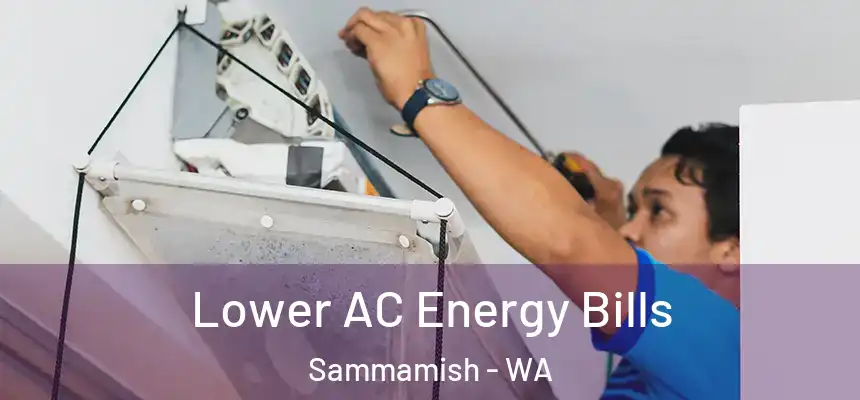  Lower AC Energy Bills Sammamish - WA