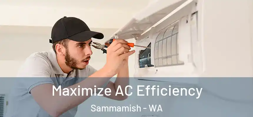  Maximize AC Efficiency Sammamish - WA