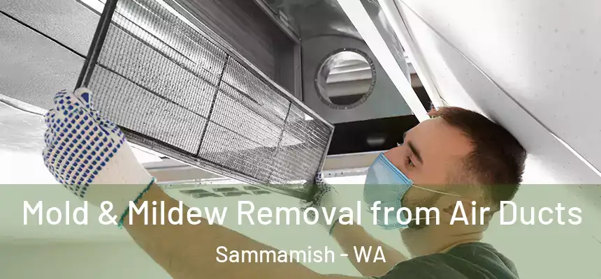 Mold & Mildew Removal from Air Ducts Sammamish - WA
