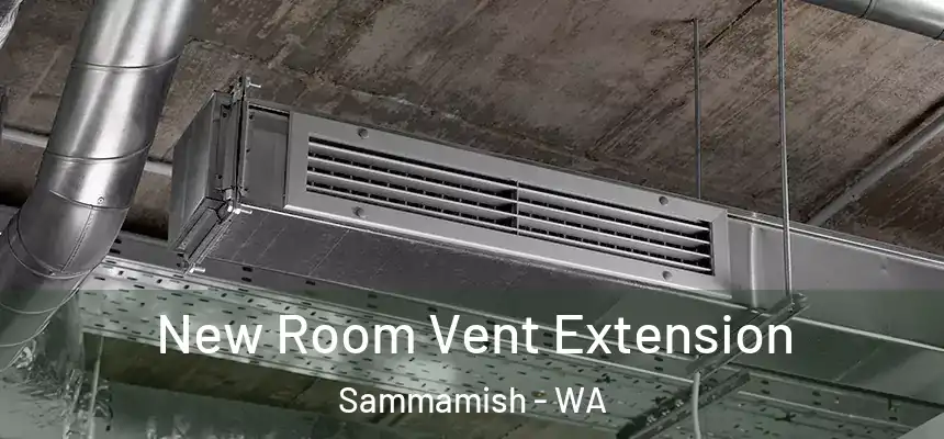  New Room Vent Extension Sammamish - WA