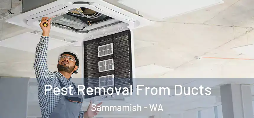 Pest Removal From Ducts Sammamish - WA