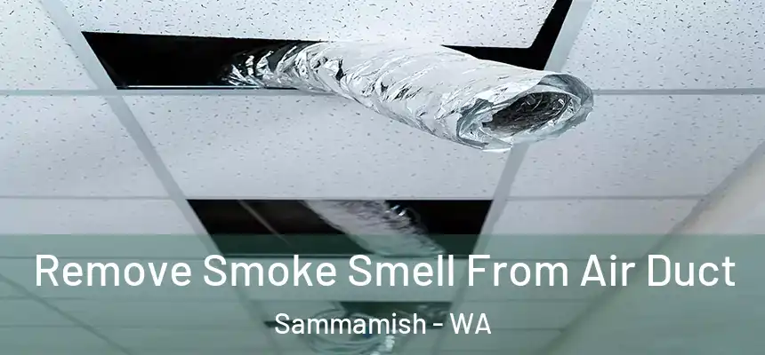 Remove Smoke Smell From Air Duct Sammamish - WA
