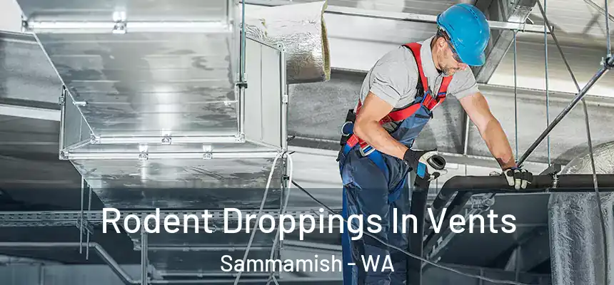 Rodent Droppings In Vents Sammamish - WA