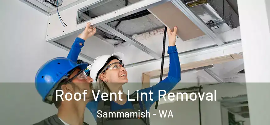 Roof Vent Lint Removal Sammamish - WA