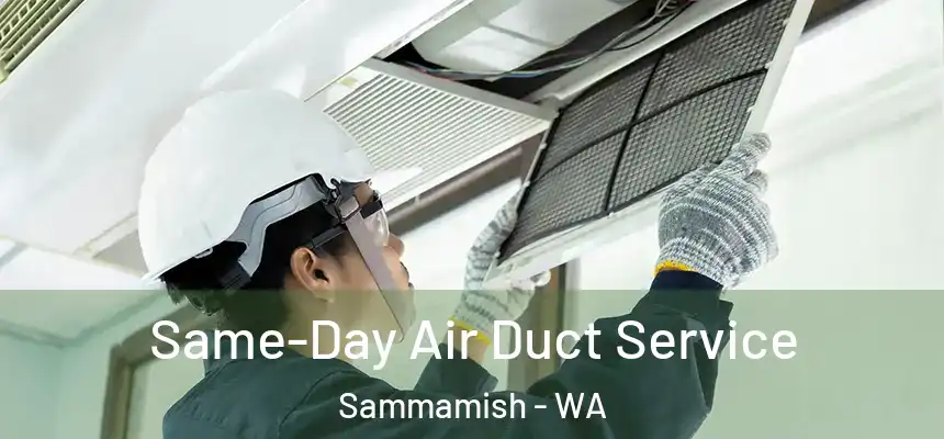  Same-Day Air Duct Service Sammamish - WA