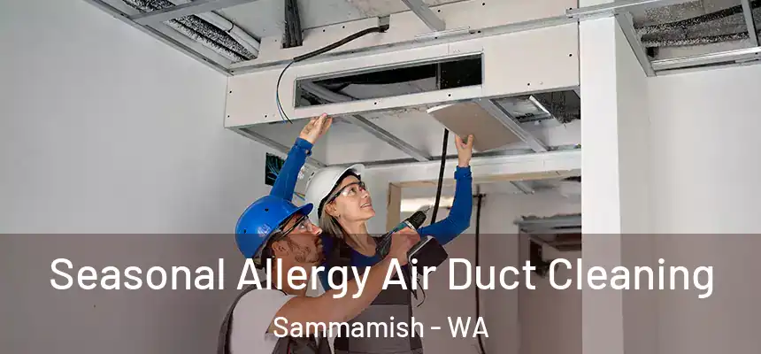  Seasonal Allergy Air Duct Cleaning Sammamish - WA