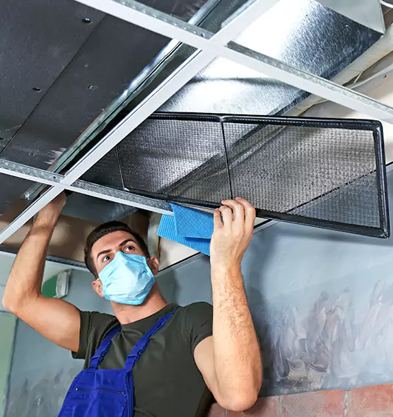 About Air Duct Bacteria Removal in Sammamish