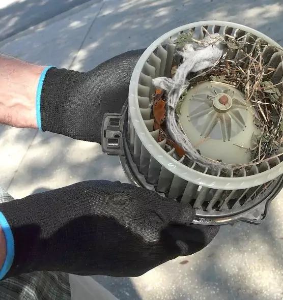 About Air Duct Mice Removal in Sammamish, WA