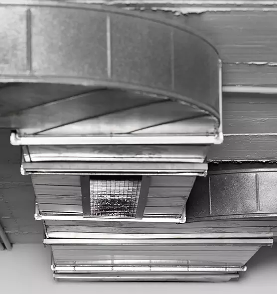 Professional Air Duct Pest Removal in Sammamish, WA