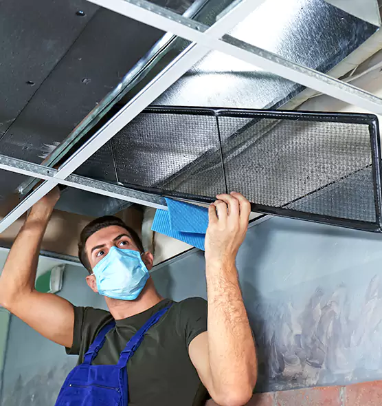 Professional Air Duct Pollen Cleaning in Sammamish, WA