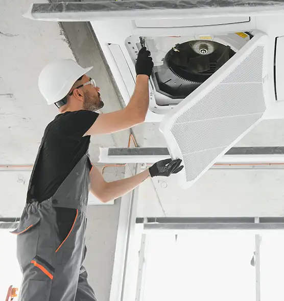 About Air Duct Rodent Removal in Sammamish, WA