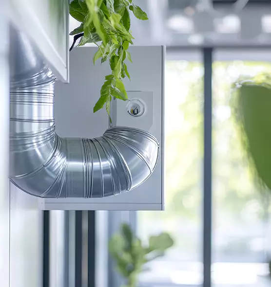 Professional Eco-Friendly Duct Cleaning Services in Sammamish, WA