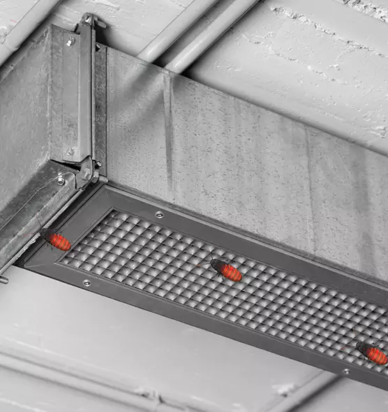 Affordable Insect Removal from Air Ducts in Sammamish, WA