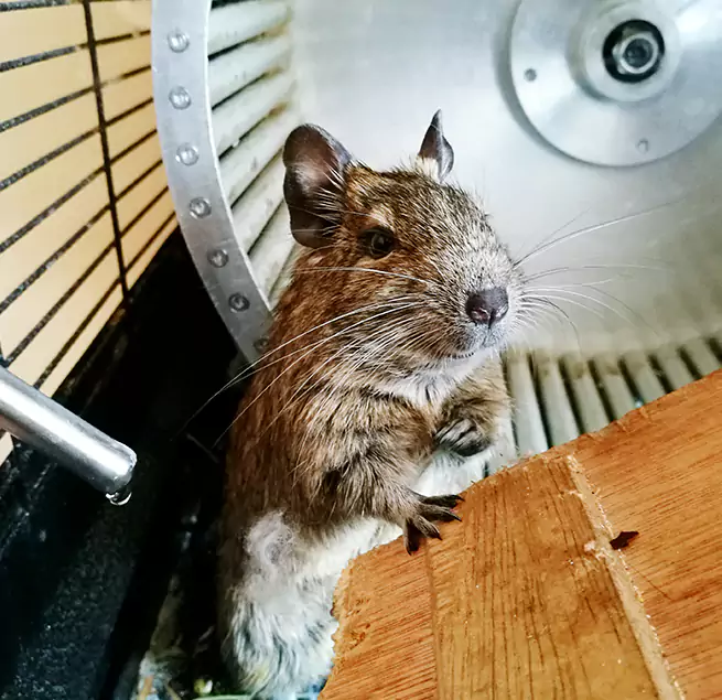 Why Homeowners & Businesses Trust Us Sammamish, WA