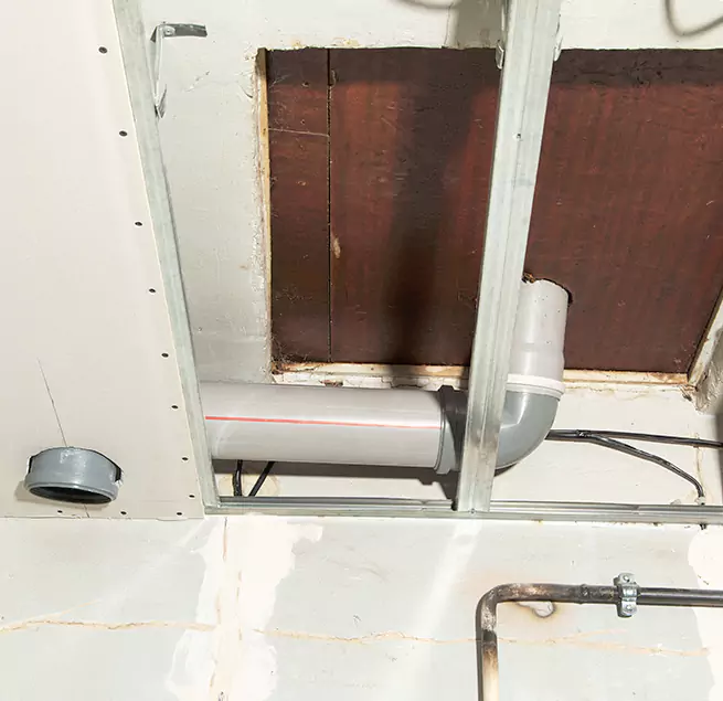 Why Homeowners & Businesses Trust Us in Sammamish, WA?