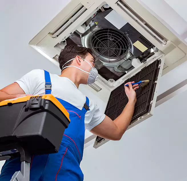 Why Homeowners & Businesses Trust Us in Sammamish, WA