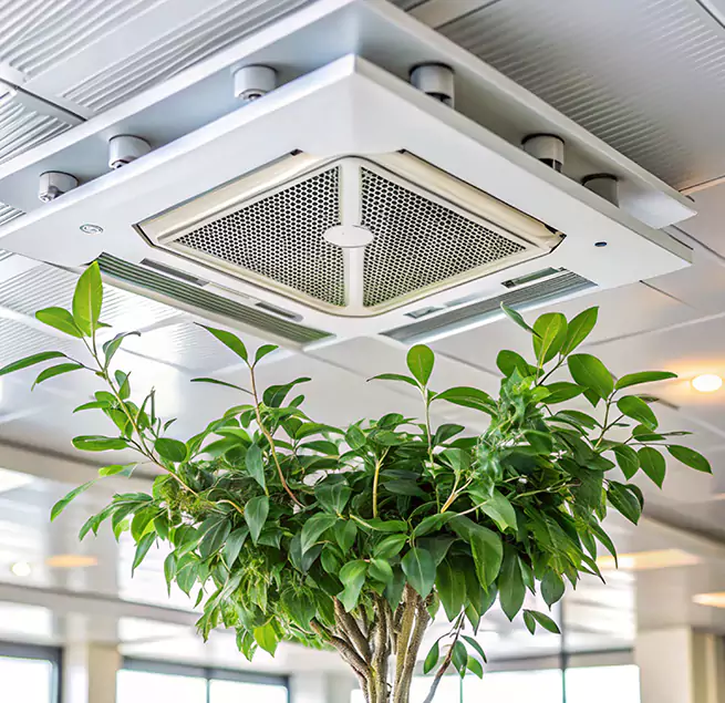 Why Homeowners & Businesses Trust Us in Sammamish, WA