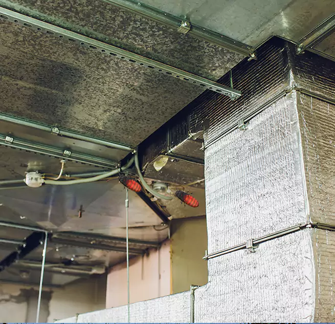 Why Homeowners & Businesses Trust Us Sammamish, WA?