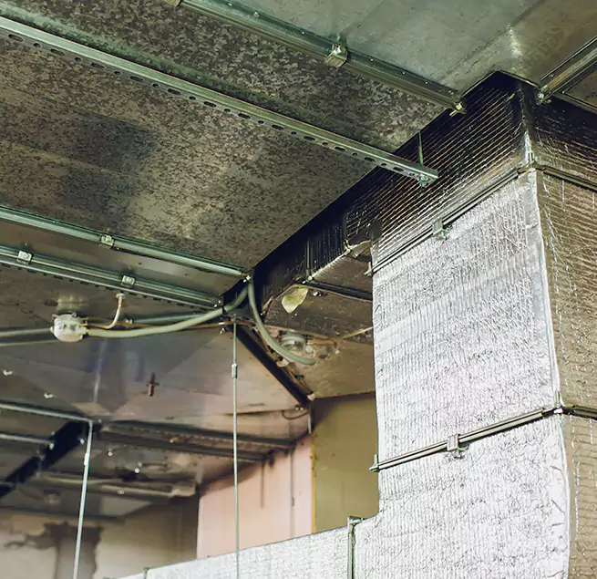 Why Homeowners & Businesses Trust Us in Sammamish, WA?