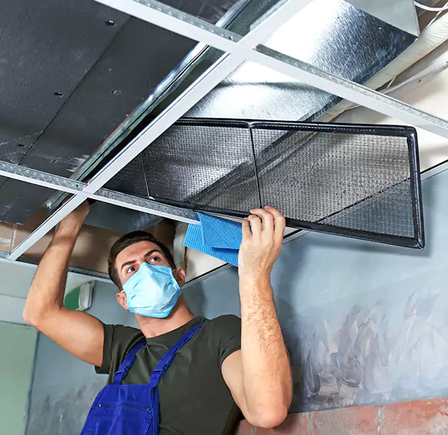 Why Homeowners & Businesses Trust Us in Sammamish, WA?